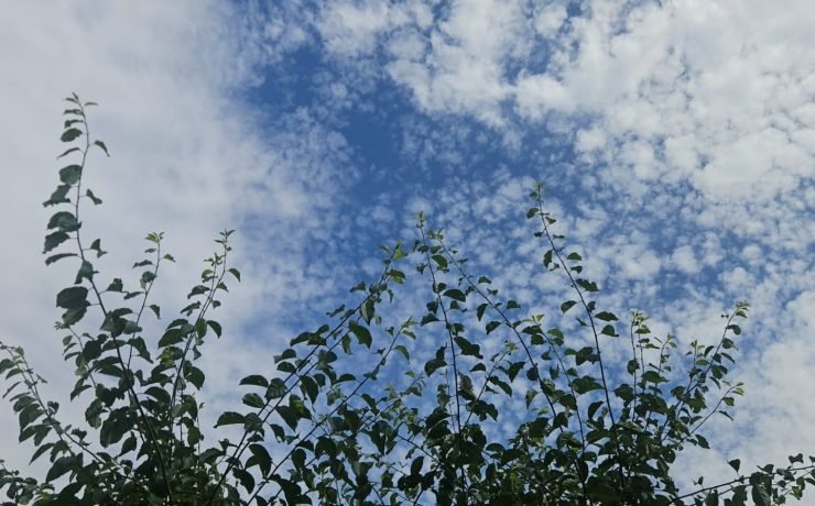 aa9770e4-5595-4956-a5c7-788bc4237b50