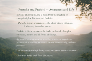 ChatGPT Image Feb 25, 2026, 12_52_58 AM